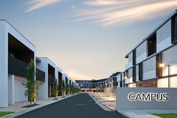 CAMPUS - Accommodation Daintree 0