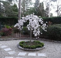 Corner Manor Leura - Accommodation Daintree