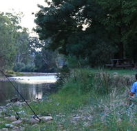 Gentle Annie Caravan and Camping Reserve - Accommodation Daintree