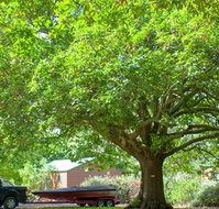 Lakes and Craters Holiday Park - Accommodation Daintree