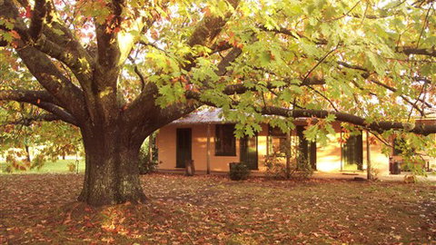 Delatite Station - Accommodation Daintree 3