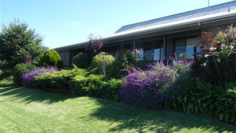 Boomers Guest House Hamilton - Accommodation Daintree 0