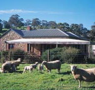Amanda Stichbury Cottage - Accommodation Daintree