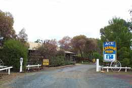 Ace Caravan Park - Accommodation Daintree 0