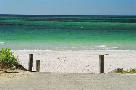 Amblin Holiday Park - Accommodation Daintree 1
