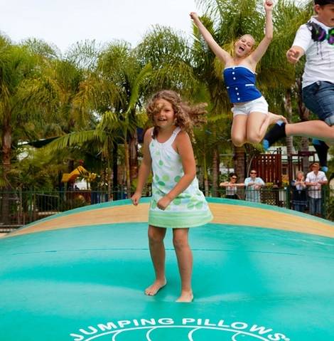 Blue Dolphin Holiday Resort - Accommodation Daintree 7