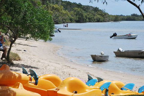 Blue Dolphin Holiday Resort - Accommodation Daintree 11