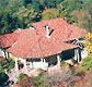 Broomelea Bed  Breakfast - Accommodation Daintree