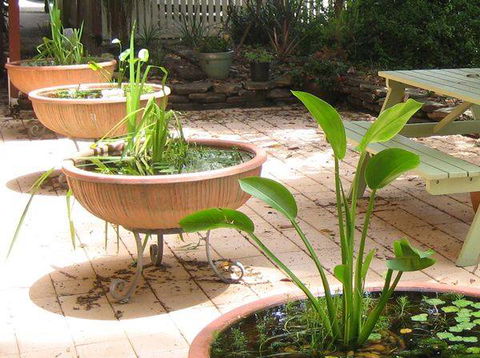 Burwood Bed & Breakfast - Accommodation Daintree 3
