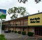 Red Star Hotel West Ryde - Accommodation Daintree