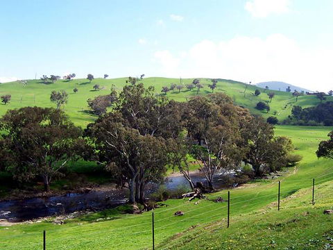 Elm Cottage - Tumut - Accommodation Daintree 4
