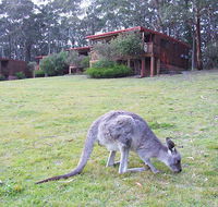 Jenolan Caves Cottages - Accommodation Daintree