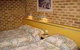 Marco Polo Motor Inn - Sydney, Summer Hill - thumb 0