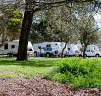 Moss Vale Village Caravan Park - Accommodation Daintree