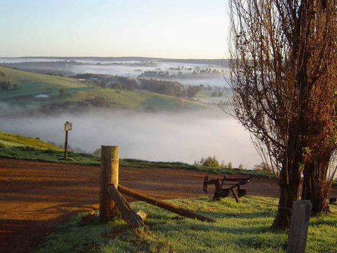 Balingup Heights Hilltop Forest Cottages - Accommodation Daintree 4