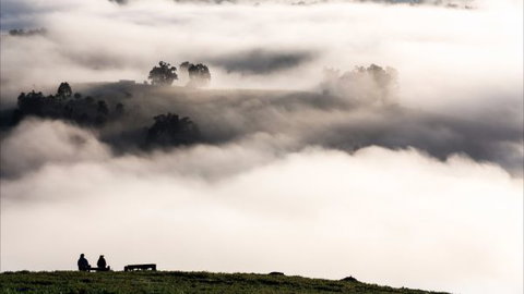 Balingup Heights Hilltop Forest Cottages - Accommodation Daintree 9