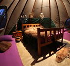 Aranyani Bison Adventure Tourist Park - Accommodation Daintree