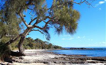Currarong Beachside Holiday Park - Accommodation Daintree 0