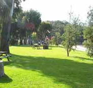 Sapphire Sun Eco Holiday Village - Accommodation Daintree