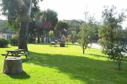 Sapphire Sun Eco Holiday Village - Accommodation Daintree 0