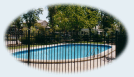 Sun City Caravan Park - Accommodation Daintree