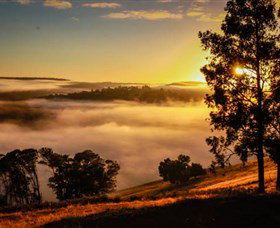 Balingup Heights Hilltop Forest Cottages - Accommodation Daintree 1
