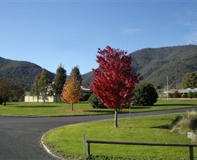 Talbingo Country Club - Accommodation Daintree 0