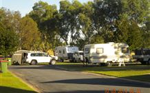 Holbrook Motor Village - Accommodation Daintree 4