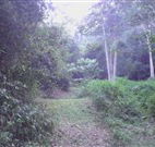 Macas Camping Ground - Accommodation Daintree