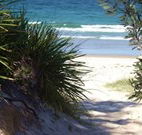 Myola Tourist Resort Caravan Park - Accommodation Daintree