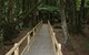 Araluen Valley Hotel - Araluen - thumb 1
