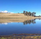 Bombala Maneroo Motel - Bombala - Accommodation Daintree