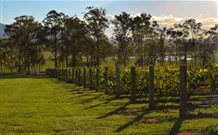 Pokolbin NSW Accommodation Daintree