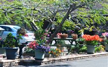 Milgate Motel - Casino - Accommodation Daintree 2