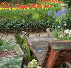 The Carrington Inn - Accommodation Daintree