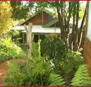 CEDAR CROFT Bed  Breakfast - Accommodation Daintree