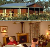 Twin Trees Country Cottages - Accommodation Daintree