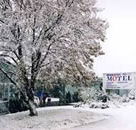 Maneroo Motel - Accommodation Daintree