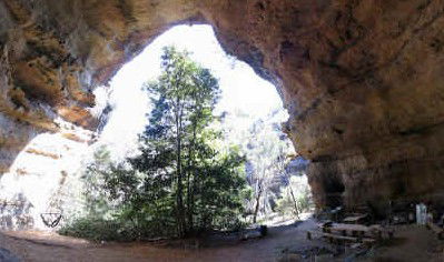 Bell NSW Accommodation Daintree