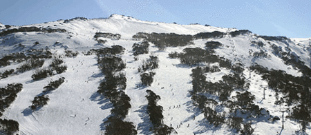 Thredbo Alpine Hotel - Accommodation Daintree