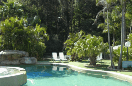 The Palms At Avoca - Accommodation Daintree 3