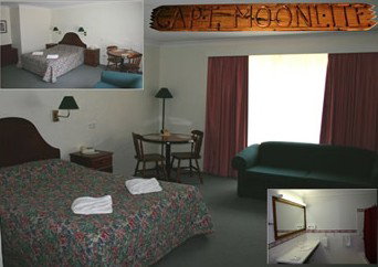 Torryburn NSW Accommodation Daintree