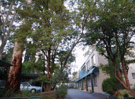 Glenside SA Accommodation Daintree