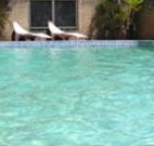 Toreador Motel - Coffs Harbour - Accommodation Daintree