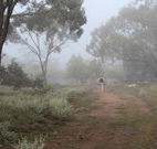 Heritage Park Bathurst - Accommodation Daintree
