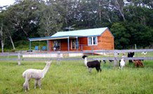 Moorallie Cottage Farm Stay - Accommodation Daintree 0