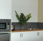 Toolond Plantation - Accommodation Daintree
