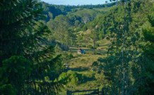 Yarrowyck NSW Accommodation Daintree