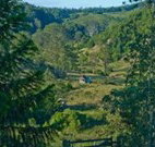 Yarralong BnB and Farm Stay - Accommodation Daintree