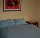 Busy Buzz - Accommodation Daintree